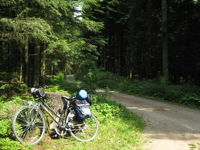 foresta nera...in bicicletta